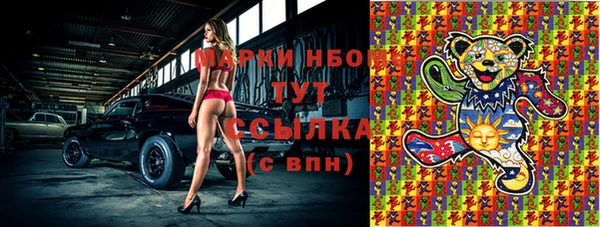 ГАЛЛЮЦИНОГЕННЫЕ ГРИБЫ Алзамай