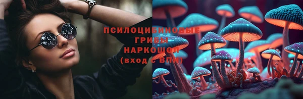 стафф Алексин