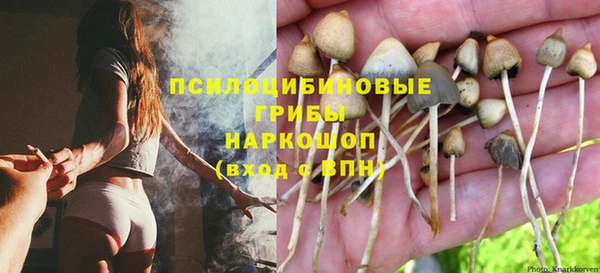 COCAINE Алексеевка