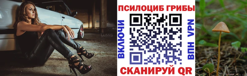 Псилоцибиновые грибы Psilocybe  как найти закладки  Бокситогорск 