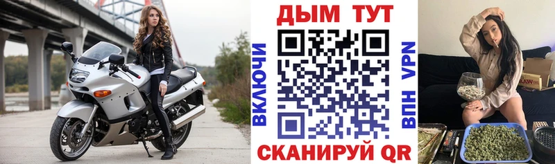Бошки марихуана THC 21%  купить   Бокситогорск 